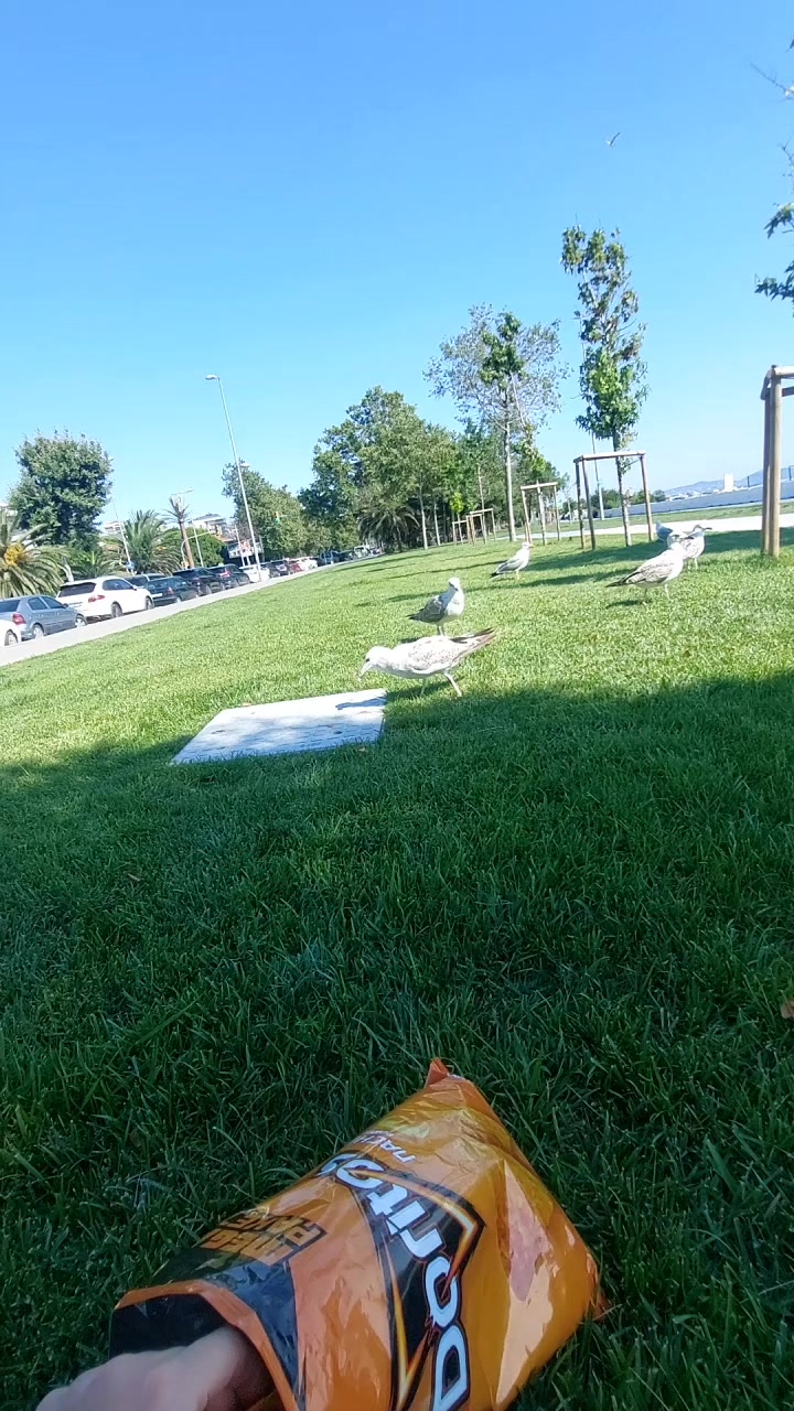 @GülsheN