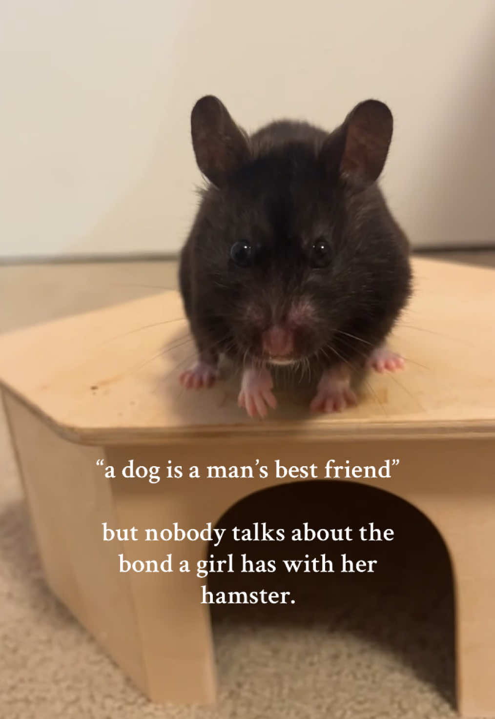 @ɪꜱʟᴀ