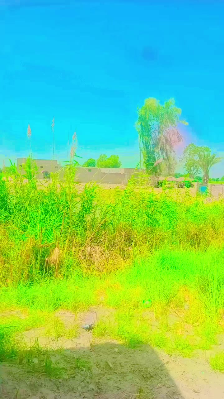 @zawar Fayaz Ali Zardari