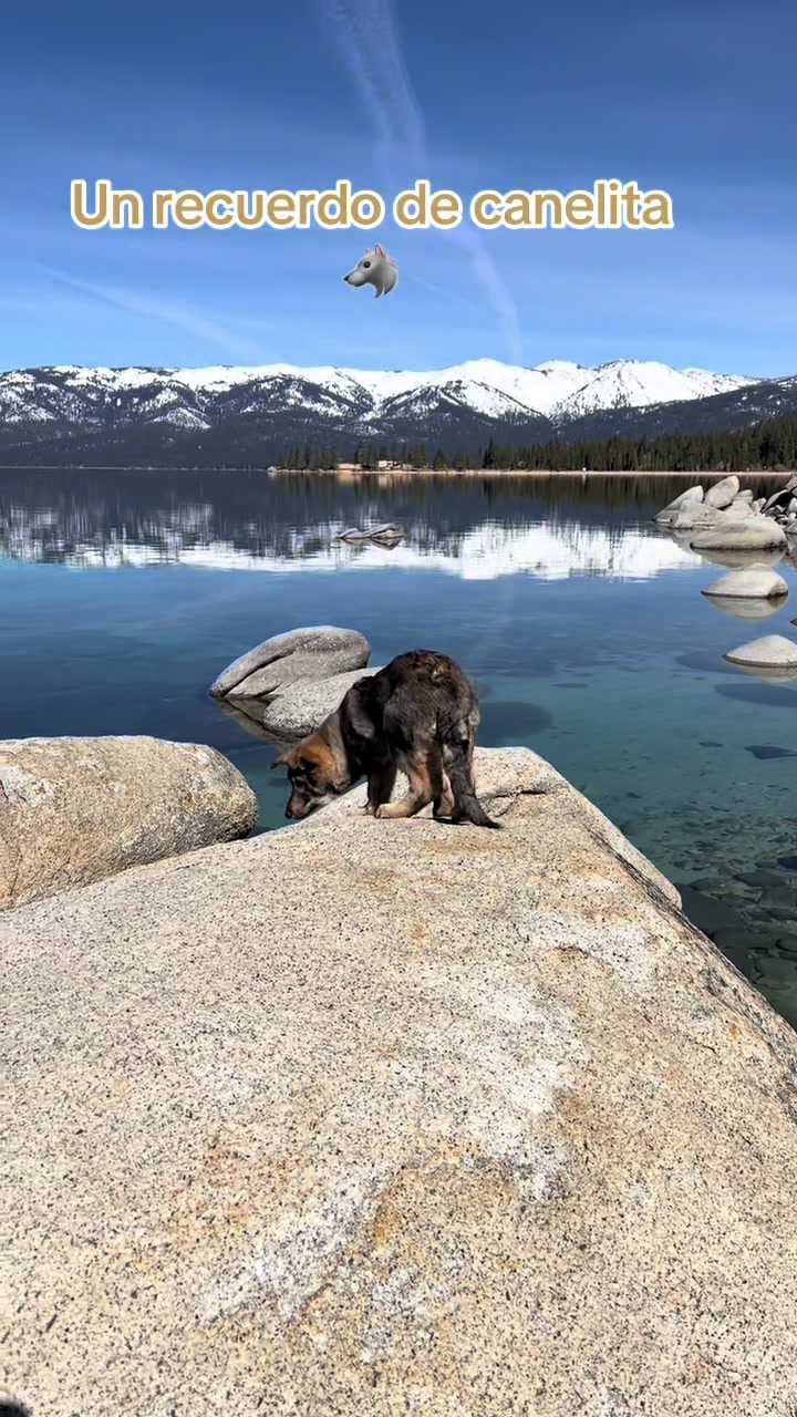 @tahoe_caluph_usa