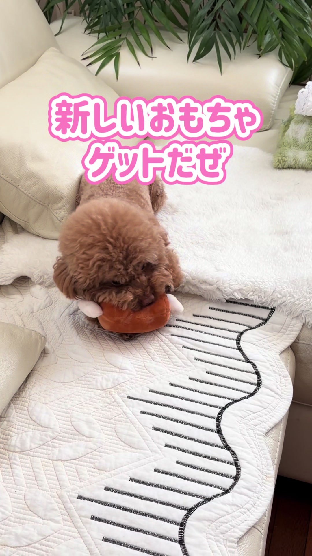 @るるもも