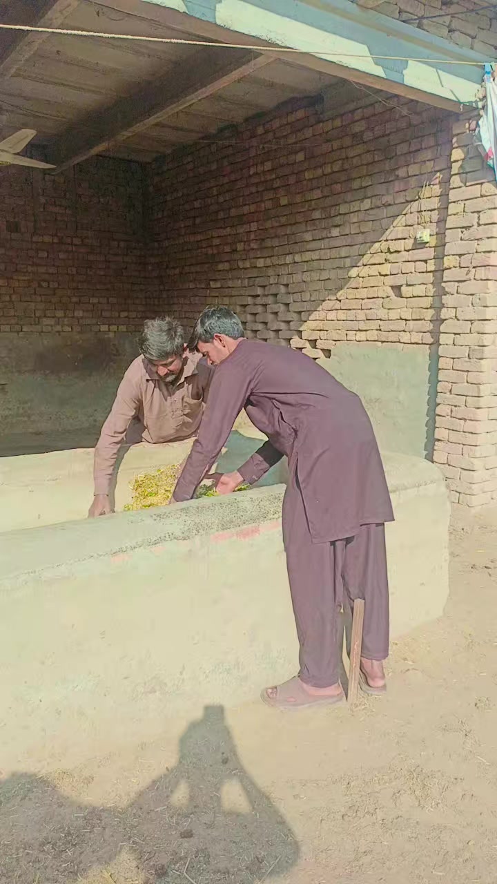@adilbadshat209