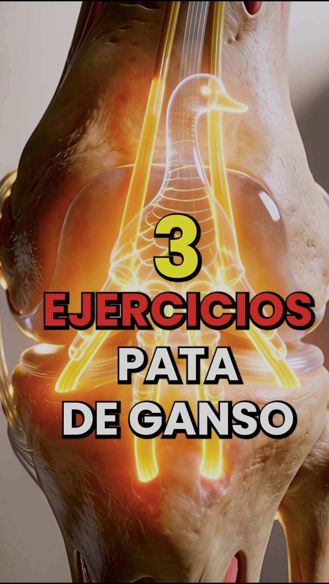 @CEO SALUD