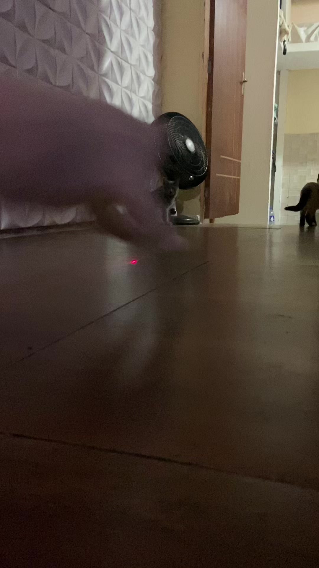 @Karoleos12gatos