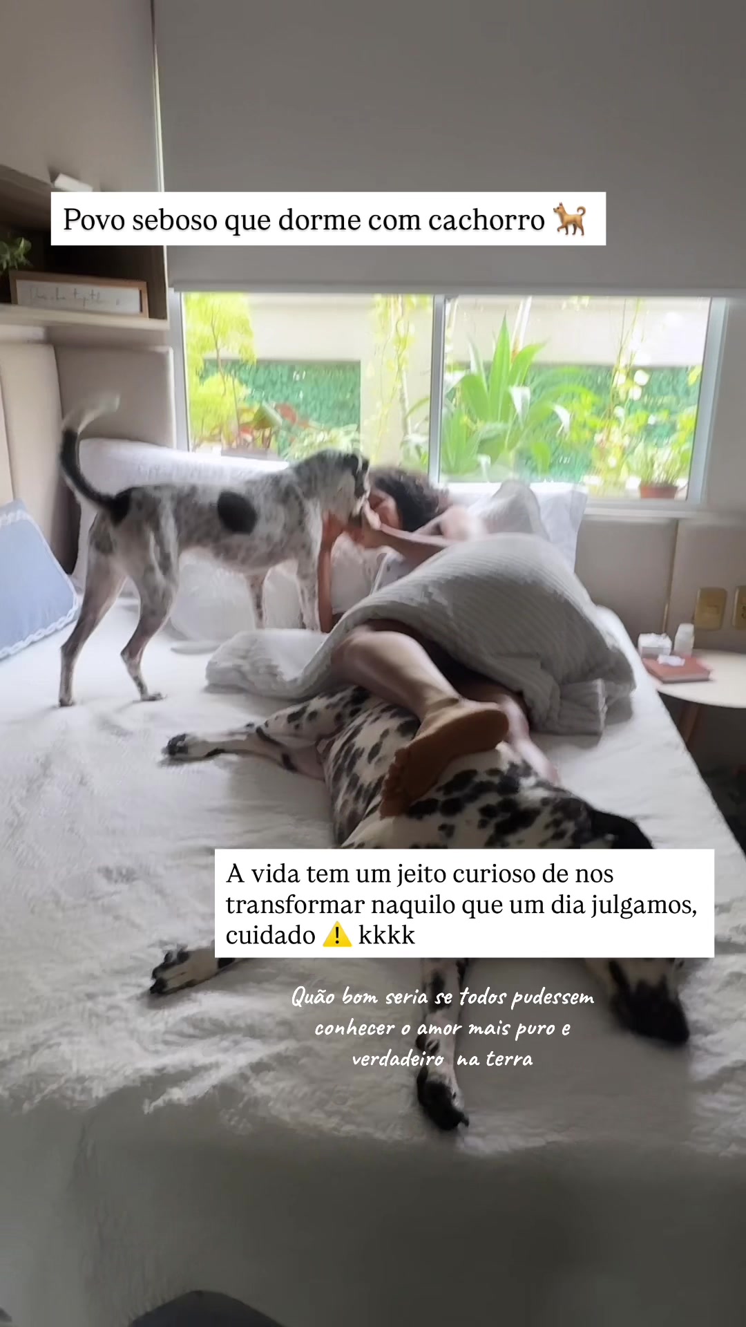 @Jessica Evelym