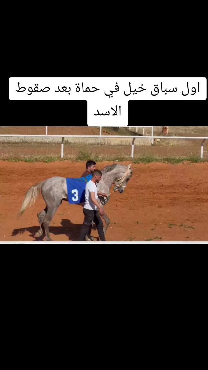@أحمد(☆▽☆)البيراوي(☆▽☆)