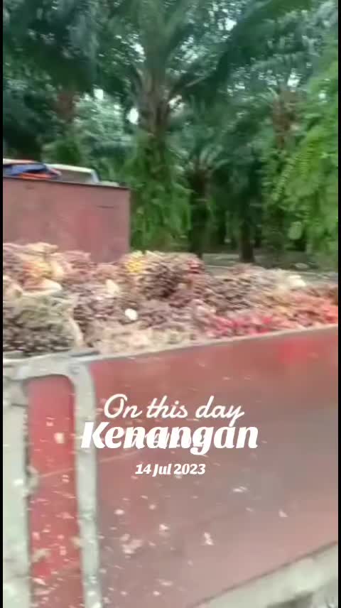 @Akam Asri