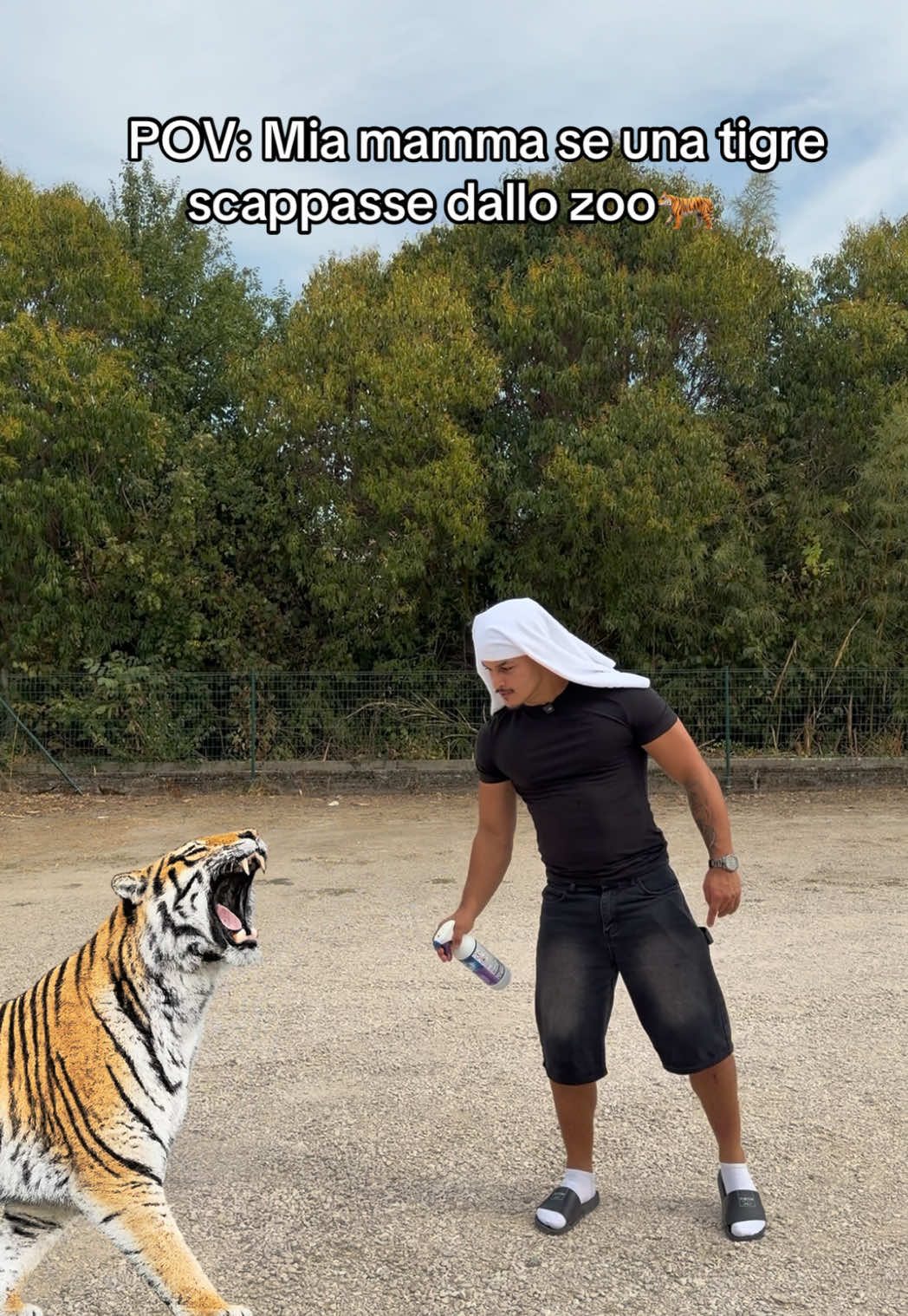 @kurti_alessandro