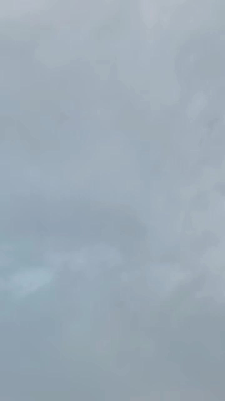 @š¬ Ų§Ų³ŲÆ ŚÆŁŪ š·