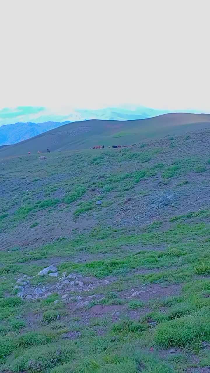 @🕊️AZAD CAN BAKIR 🕊️3636🕊️
