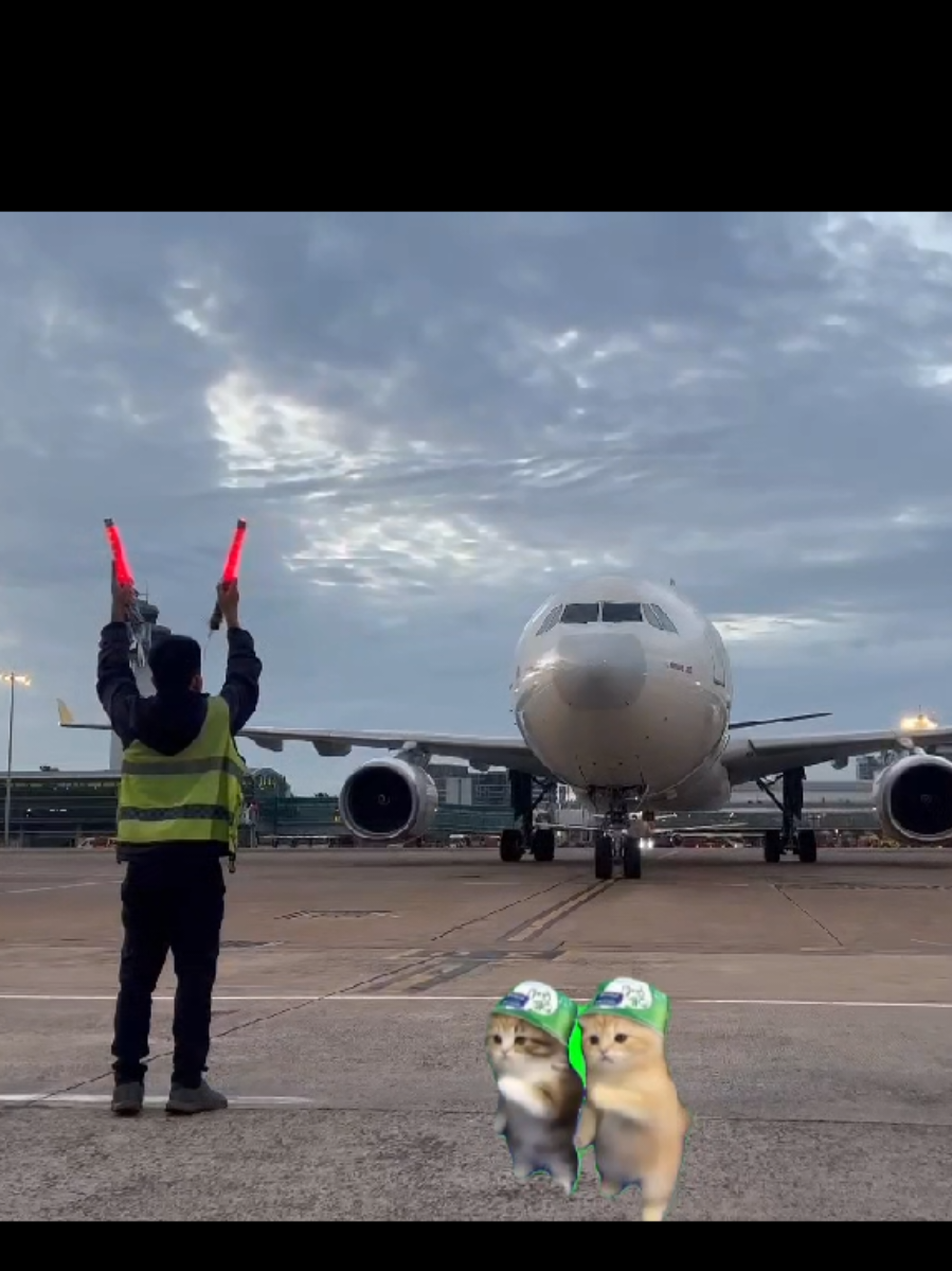 @Đồng Live Máy Bay ✈️