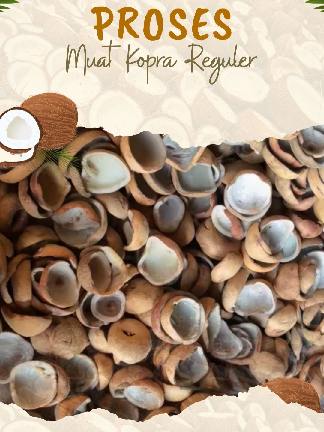 @Sempurna Pratama Indonesia