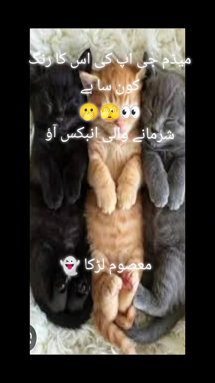 @معصوم لڑکا 👻