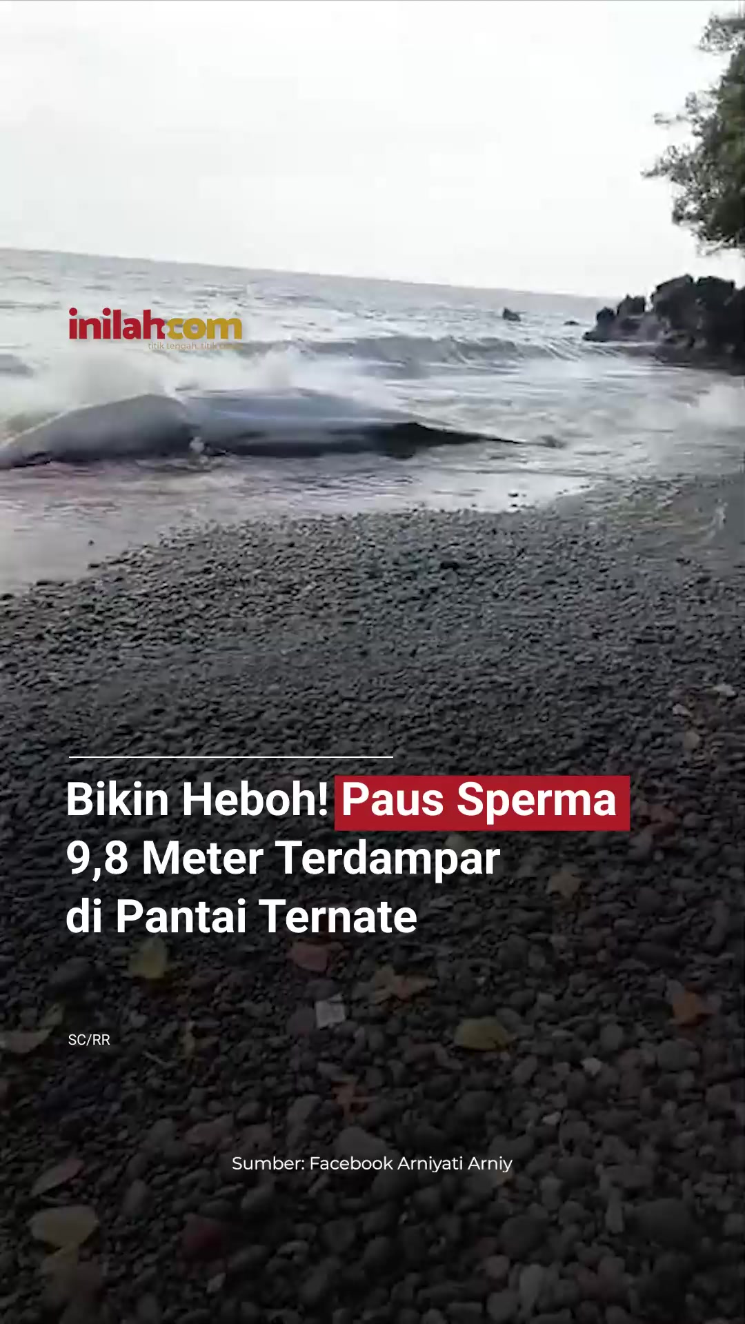 @Inilah.com
