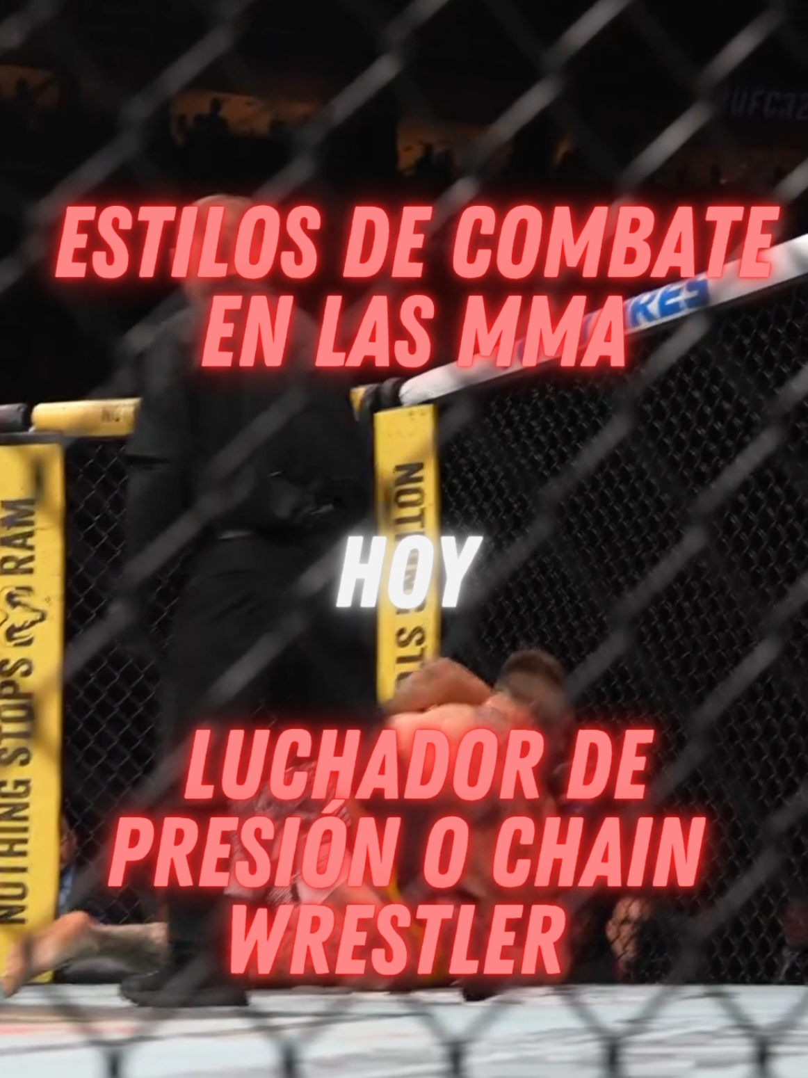 @Camilo Martial