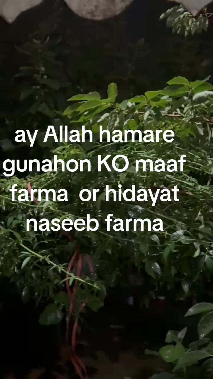 @Dr naila