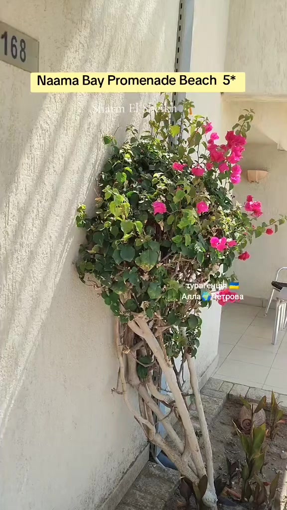@Туристична🌏агенція
