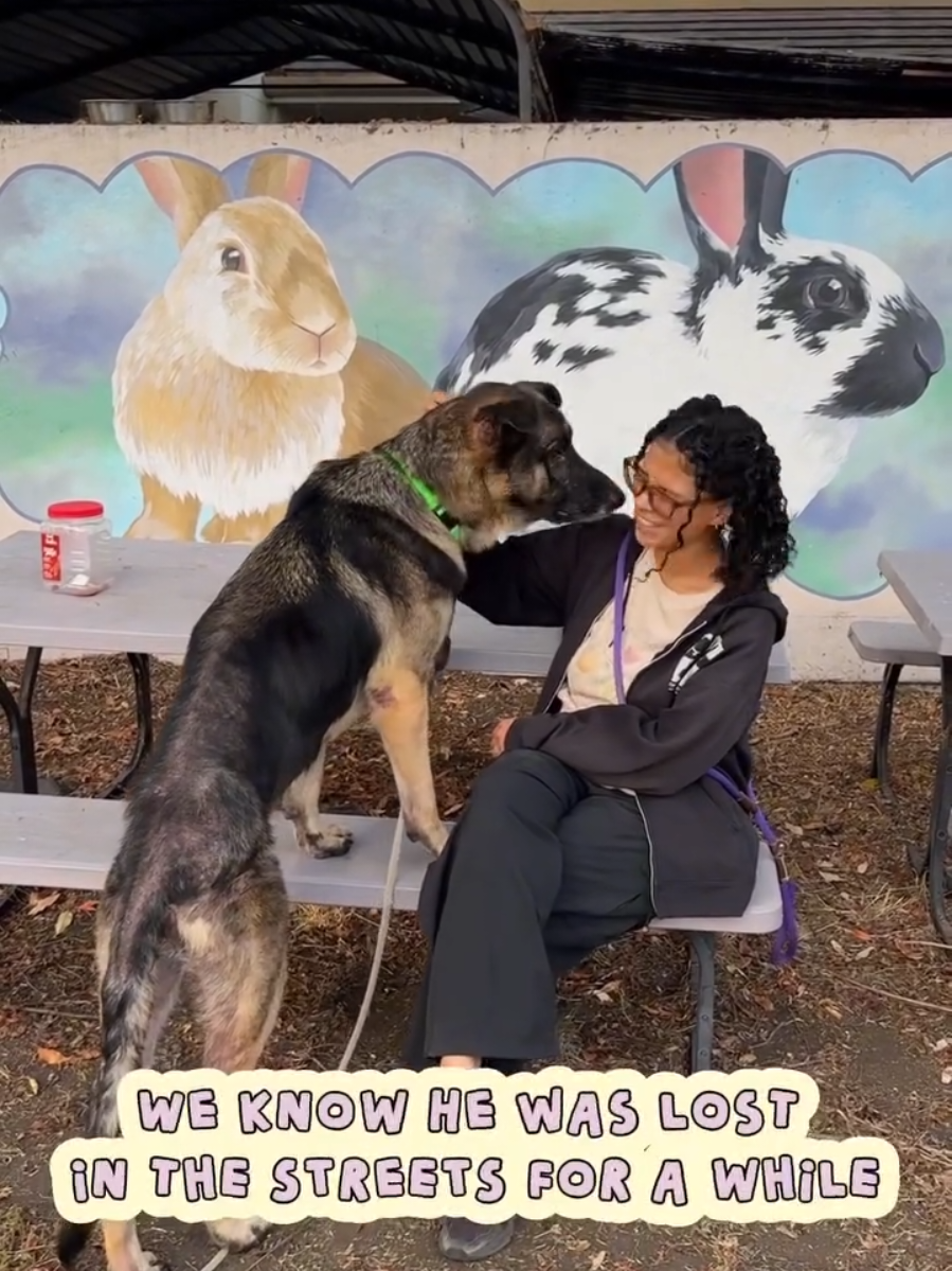 @Oakland Animal Services
