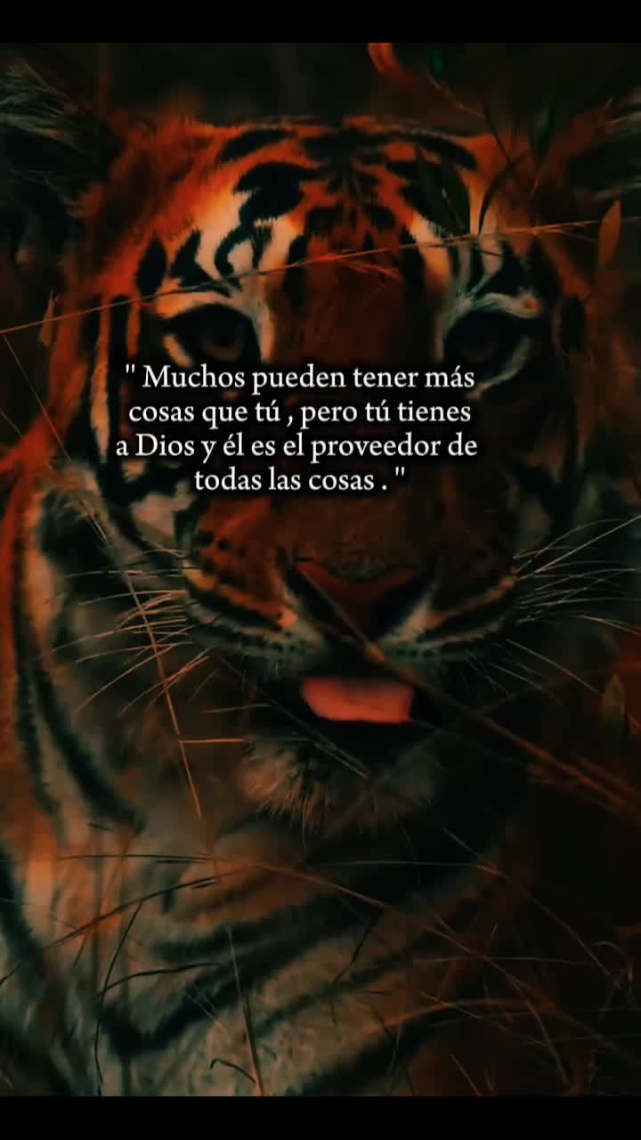 @Samuray ⚔️