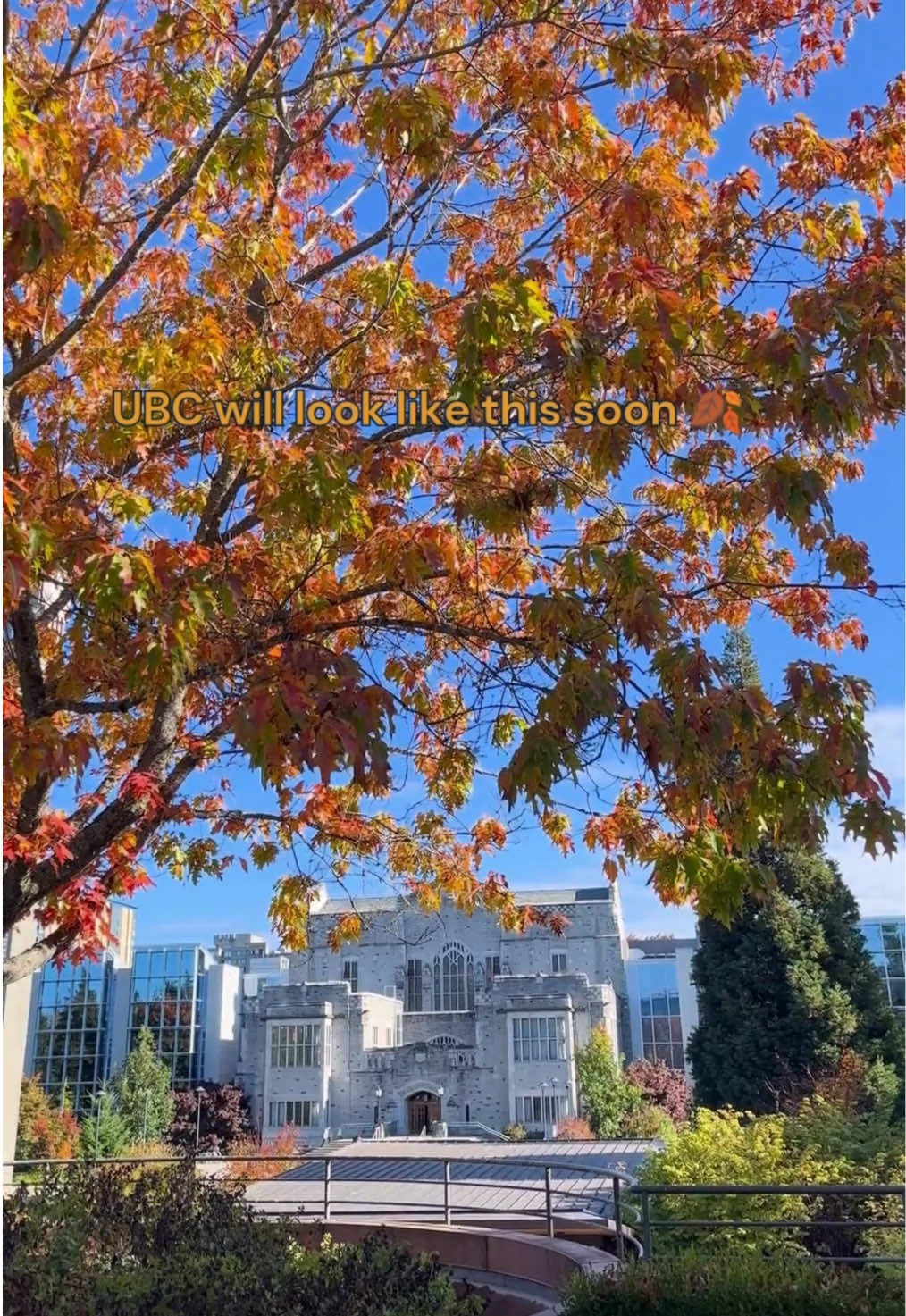 @UBC 