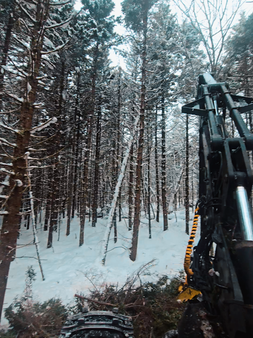 @Nova Scotia Logger