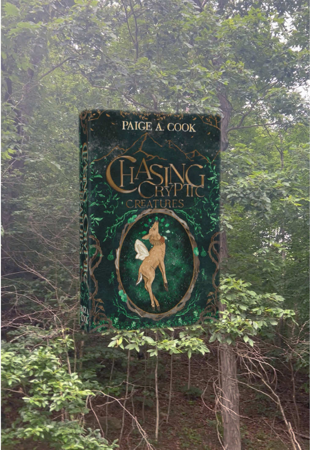 @Author Paige A. Cook