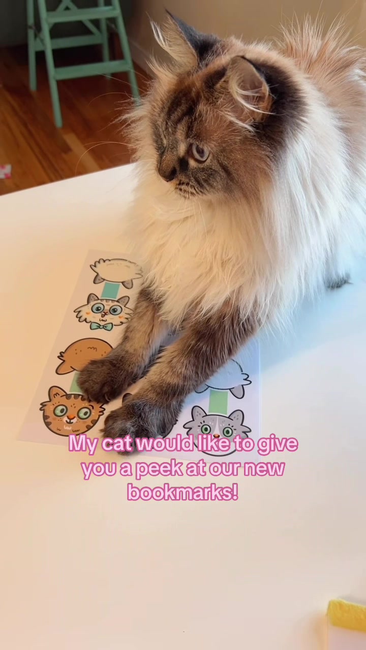 @My Cat Is People 🇨🇦