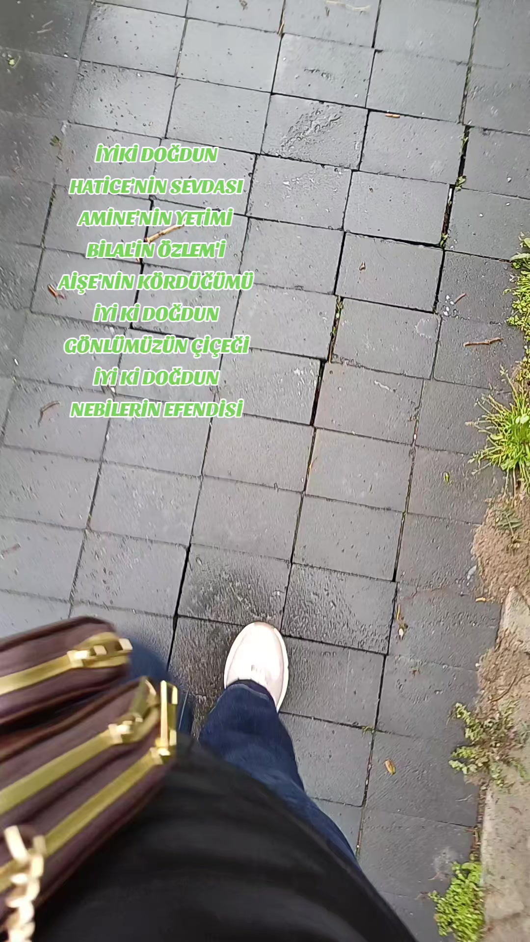 @zesegu38
