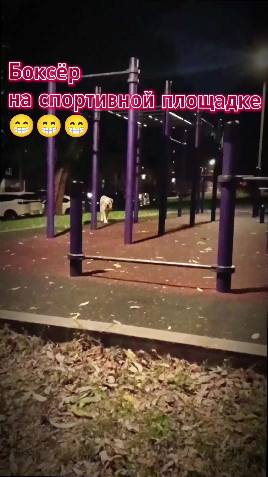 @Мысли вслух