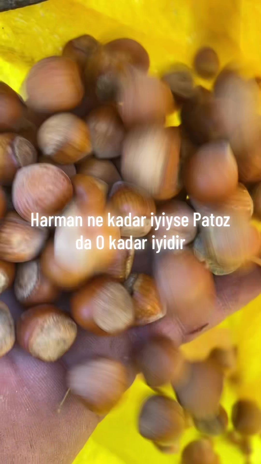 @TC _Aslan _Özcan