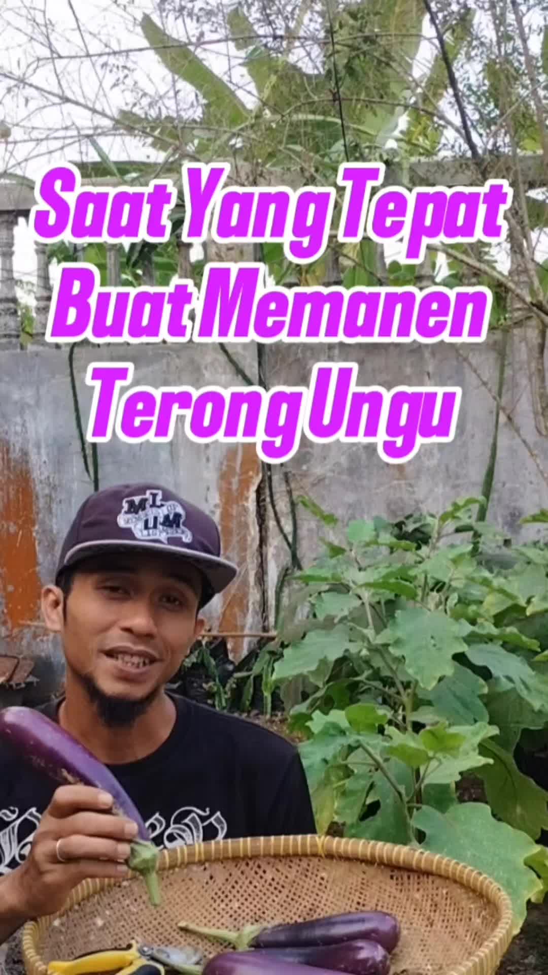 @Bukit Farming