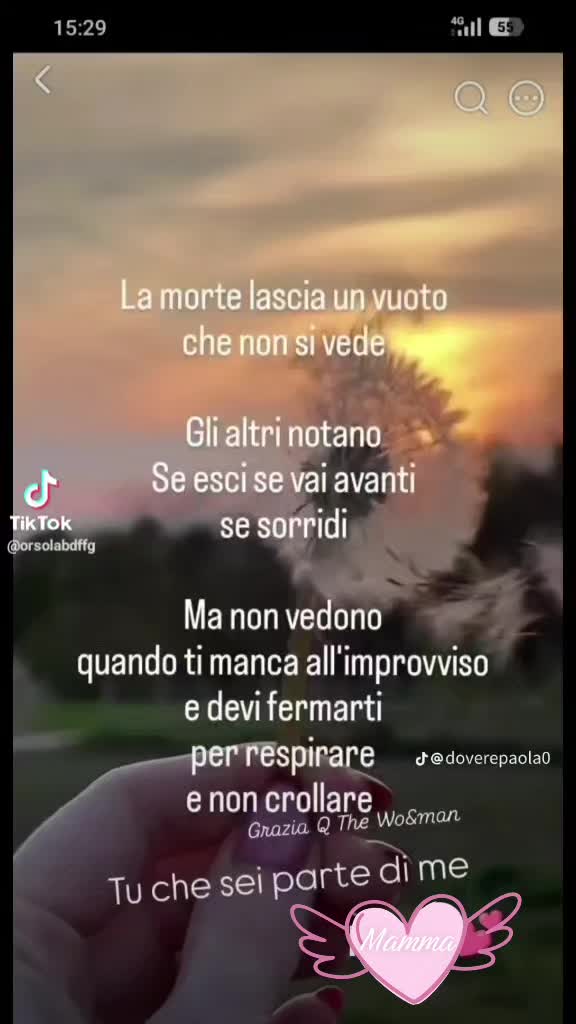 @antonellaventola