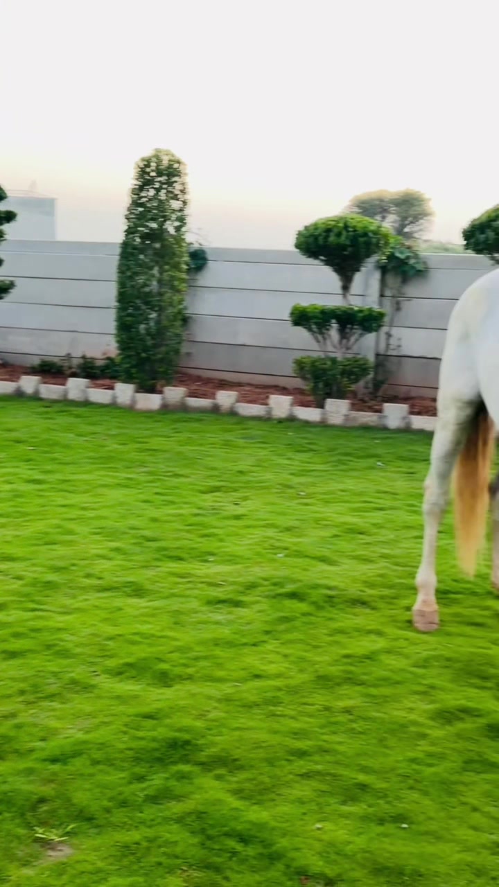 @Mukhtar Khan kakar 007