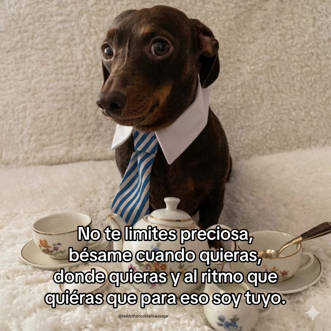 @saulburgosp2.0