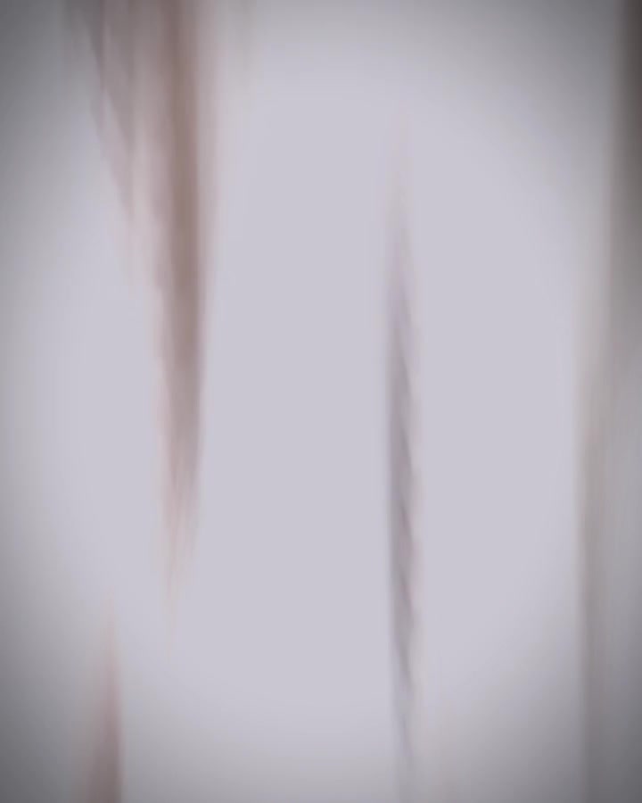 @renantepet
