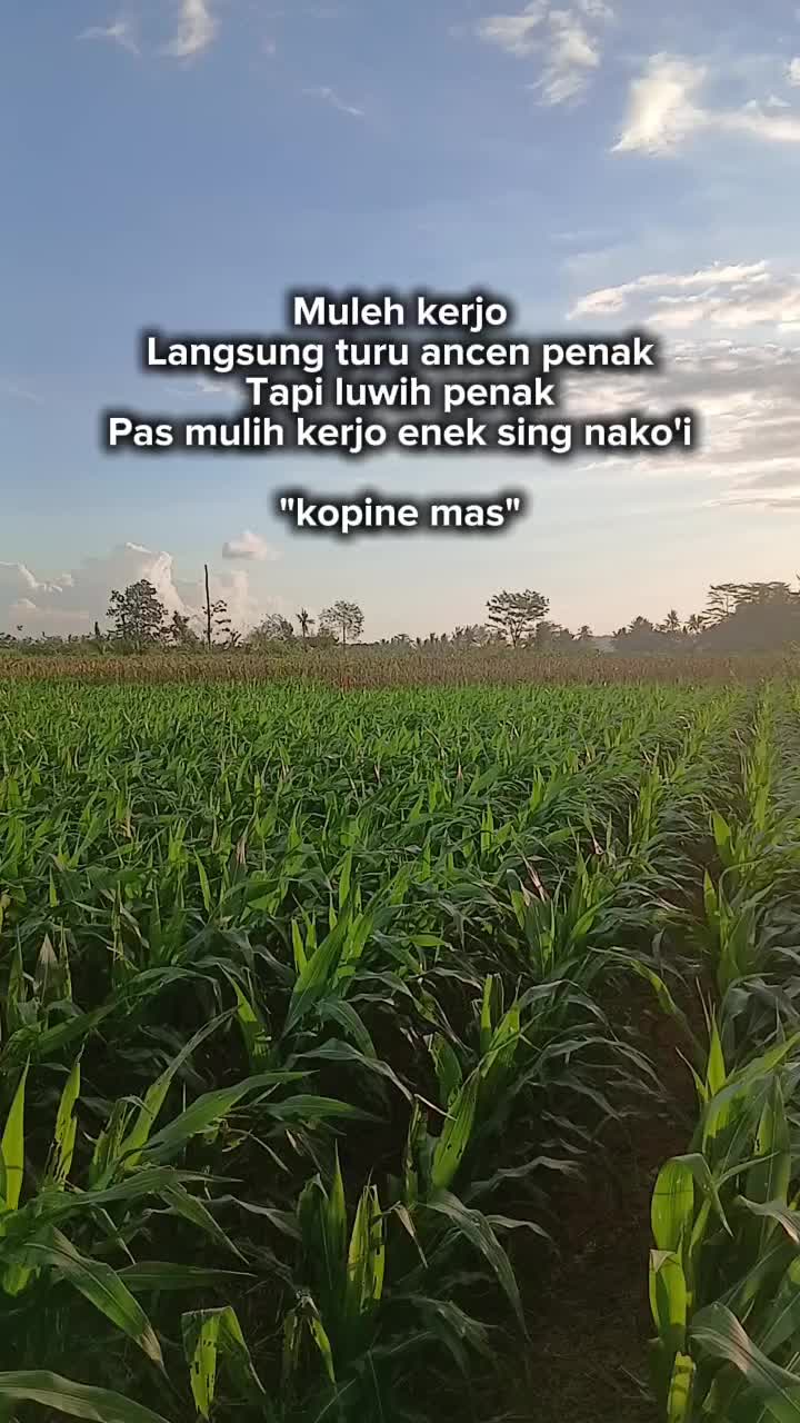 @mas muk