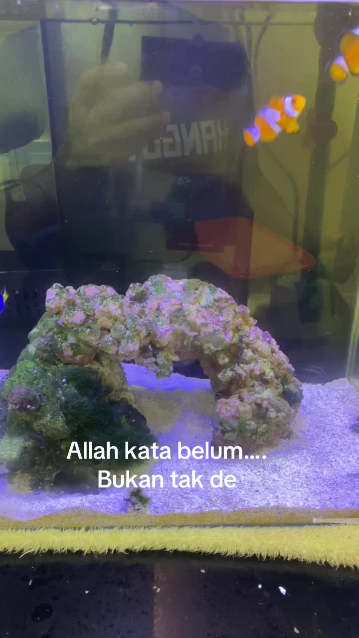 @Mohd Vira
