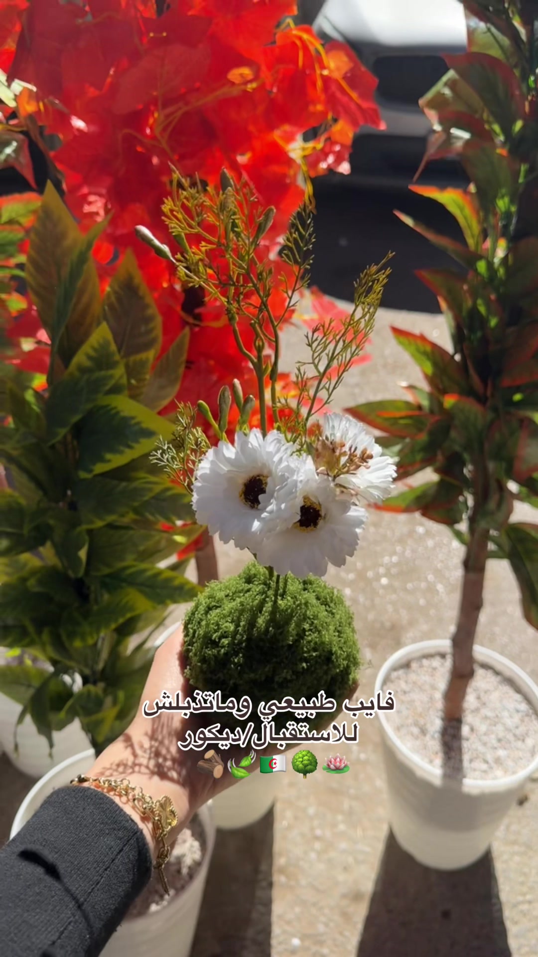 @Fleurs artificielles 🪷 oran