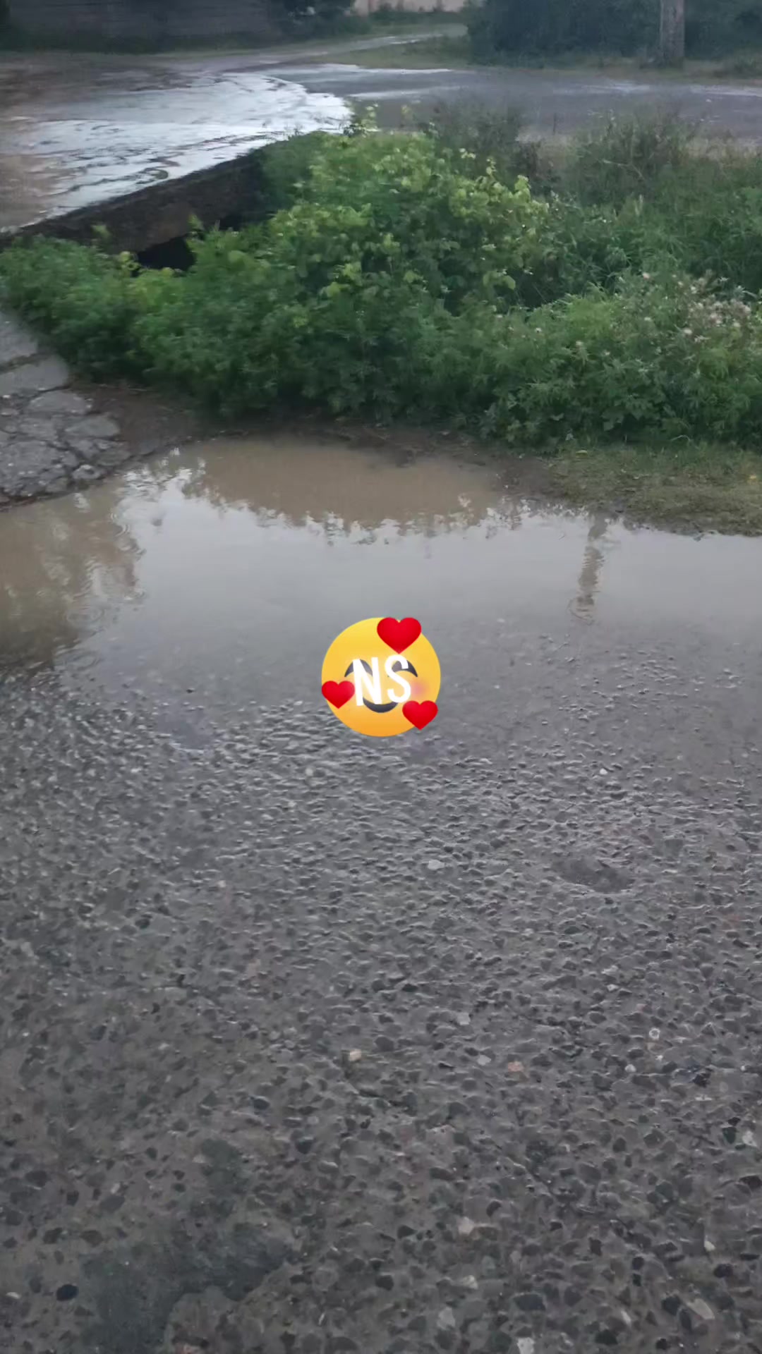@𝗡𝗦