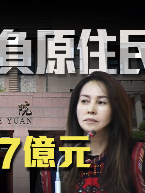 @高金素梅