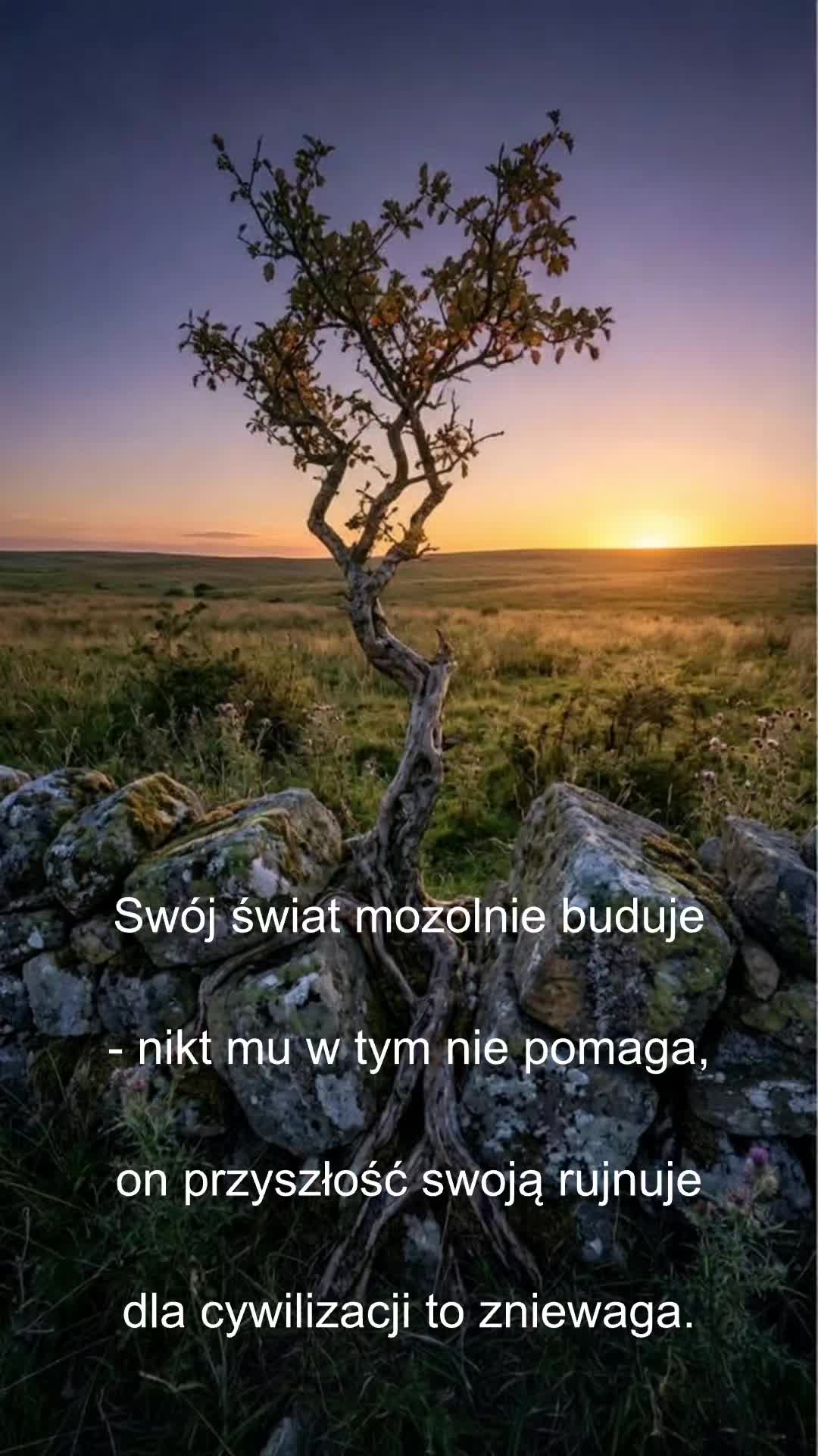 @Poezja Polska