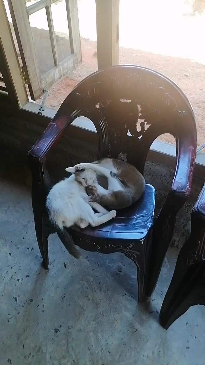 @𝙎 4 𝙉 𝙆 𝘼 🕊️"