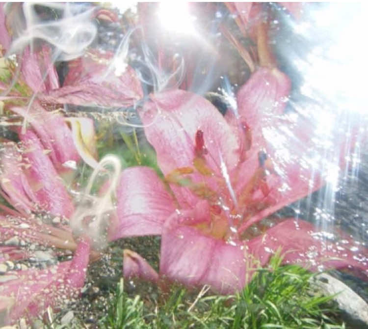 @❀𝔏𝔦𝔏𝔦𝔢𝔫