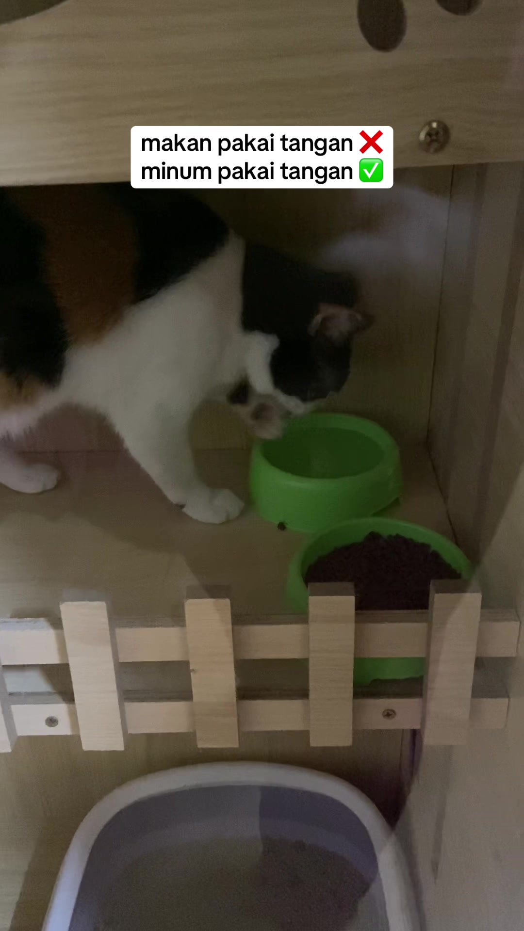 @Anya Pet Shop