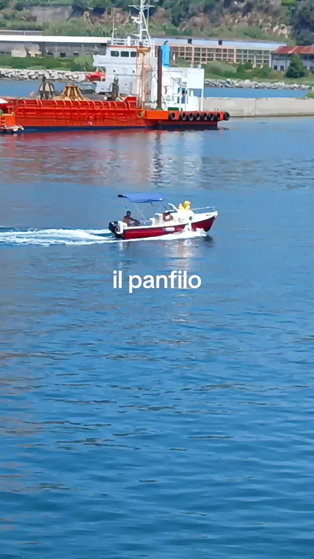 @monica