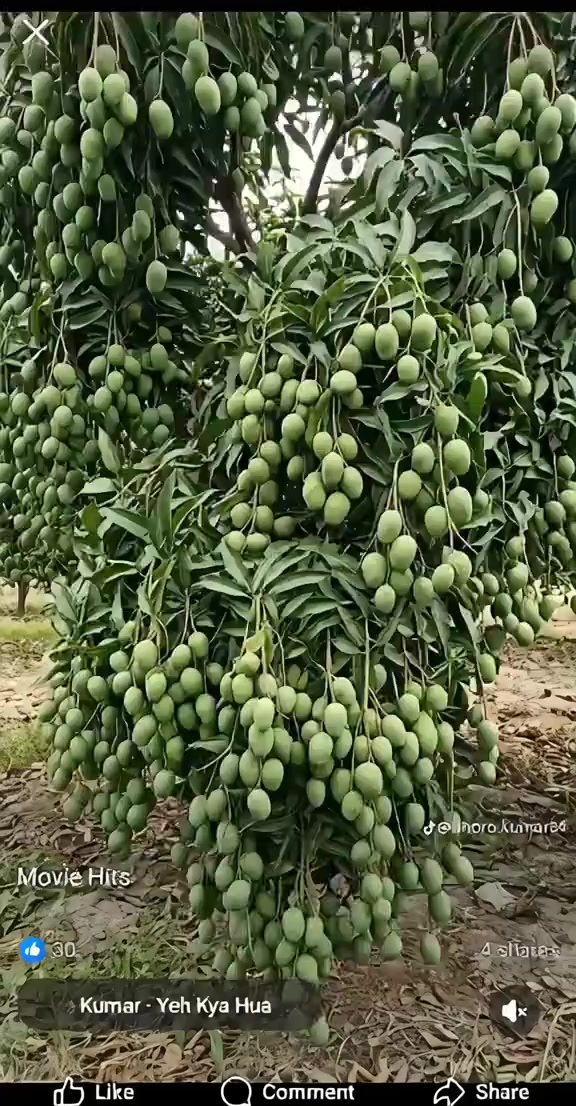 @𝐁𝐈𝐒𝐇𝐍𝐔 𝐃𝐄𝐕