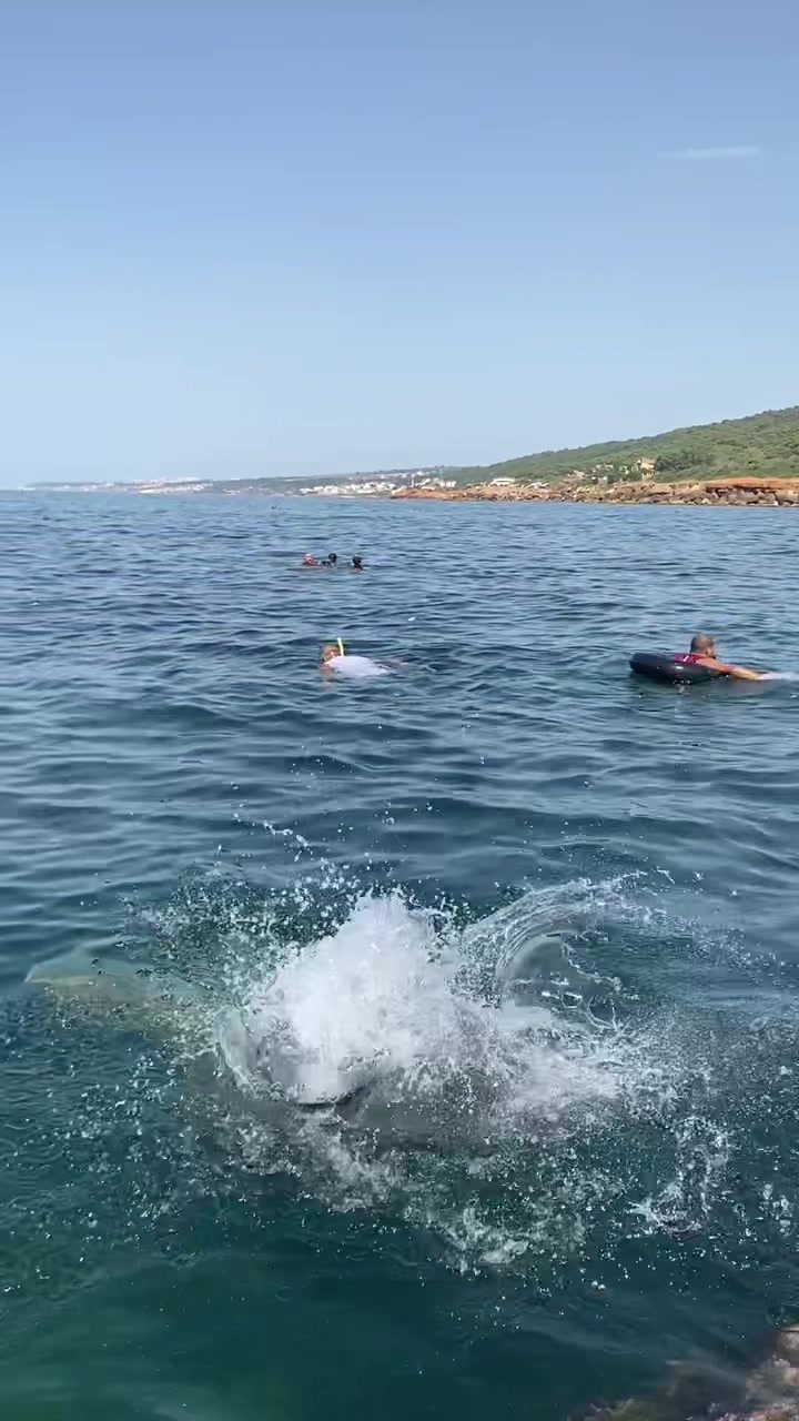 @Rлzбu9а👻