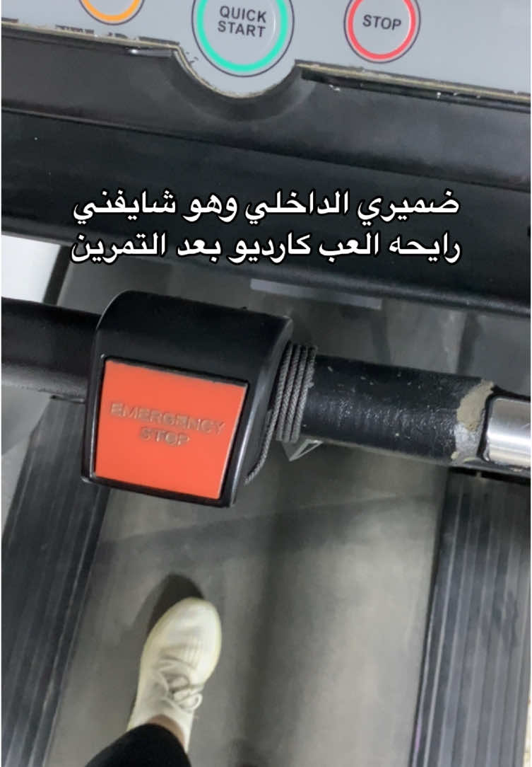 @dina_rofaat
