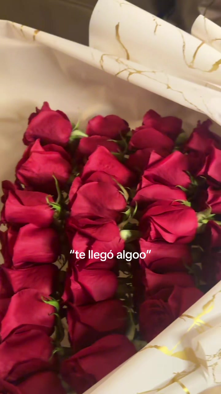 @Ale Daumas