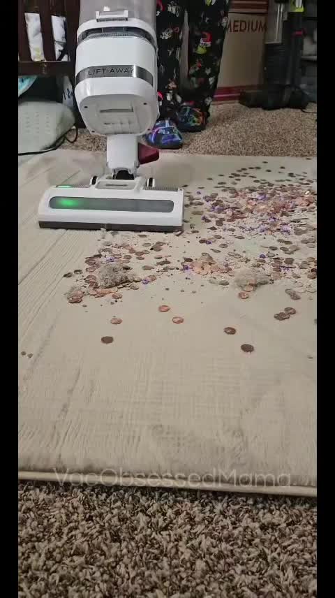 @vacobsessedmama
